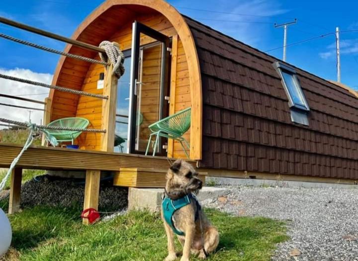 The Sleepy Crofter Glamping - Achiltibuie Exterior foto