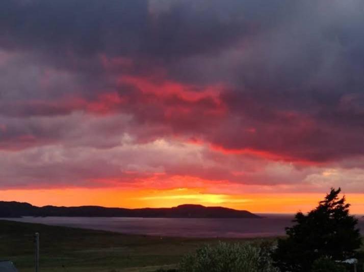The Sleepy Crofter Glamping - Achiltibuie Exterior foto